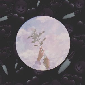 Meet your Posher, Rose